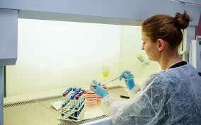 Autenticità e sicurezza alimentare nelle erbe aromatiche e spezie