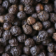 Di Curzio Black pepper